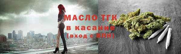 индика Горно-Алтайск