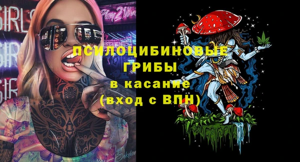 марки lsd Вяземский