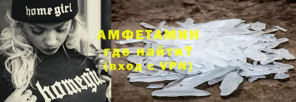 индика Долгопрудный